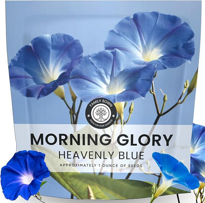 Morning Glory Heavenly Blue – 750 Seeds for Planting – 2026 Season – 1 Ounce Pouch