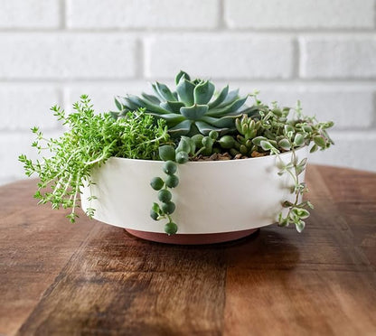 The HC Companies 8 Inch Round Plastic Succulent Capri Bowl Decorative Indoor Flower Succulent Planter Pot with Drain Plug Hole, Vanilla Bisque