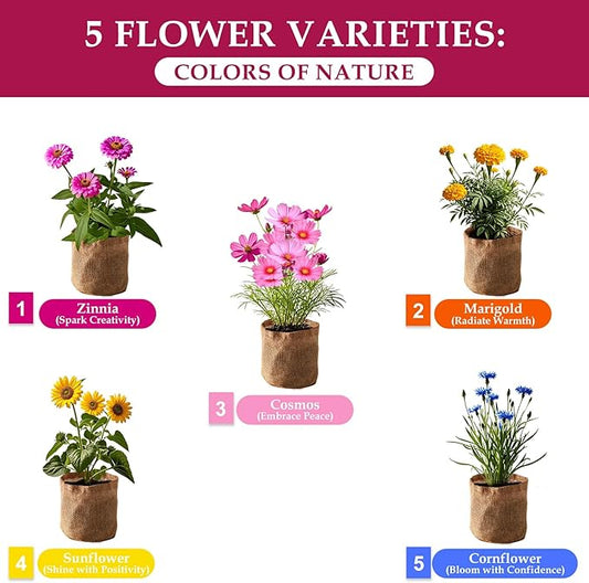 5 Indoor Flowers Growing Kit for Beginners, Complete Planting Starter Set with Zinnia, Cosmos, Sunflower, Marigold, Cornflower Seeds, Unique Gardening Gifts for Women & Men