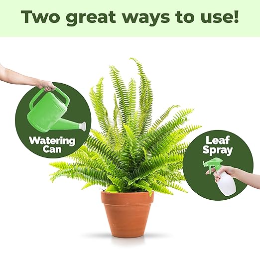 Boston Fern Fertilizer for Boston Fern, Great for Fluffy Ruffles, Dallas, and Compacta Fern Varieties, Liquid Fertilizer by TPS Plant Foods, 8 oz (250mL)