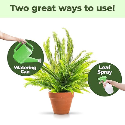 Boston Fern Fertilizer for Boston Fern, Great for Fluffy Ruffles, Dallas, and Compacta Fern Varieties, Liquid Fertilizer by TPS Plant Foods, 8 oz (250mL)