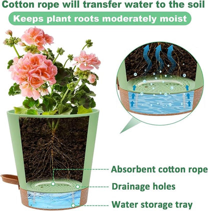 5in Self Watering Pots for Indoor Plants - 3pcs Bottom Watering African Violet Planters with Drainage, Plastic Houseplant Flower Pots for Venus Fly Trap Snake Plant Succulent Garden Live Plants