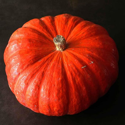 Eden Brothers Pumpkin Seeds - Rouge VIF d'Etampes Non-GMO Seeds for Planting, 1 Ounce | High-Yielding, Fast Growing Vegetable Seeds, Plant During Warm Season, Zones 3, 4, 5, 6, 7, 8, 9, 10