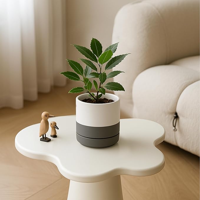 D'vine Dev Set of 2 Plants Pots, 4.7 Inch Ceramic Planter Pot for Plants with Drainage Hole and Saucer, White/Speckled Grey, 94-V-B-6