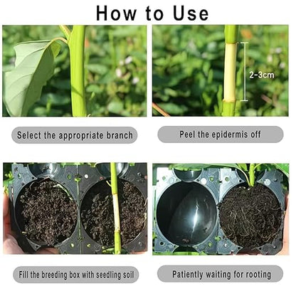 Reusable Plant Rooting Ball, Markeny Plant Propagation Root Ball Effective Invisible Propagation(Green, 15PCS)