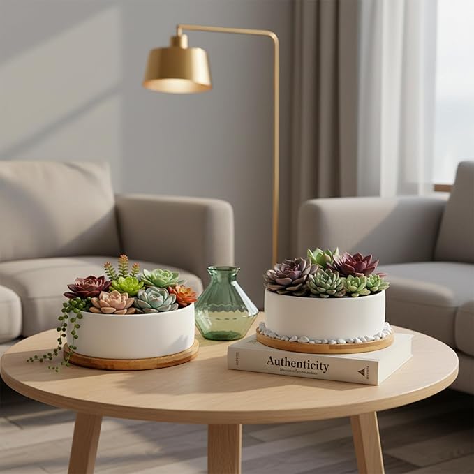 White Ceramic Succulent Plant Pots, Set of 2 Round Planter Small Cactus Container, Bonsai Pots, Succulent Pots with Drainage Hole& Bamboo Tray (No Plant)