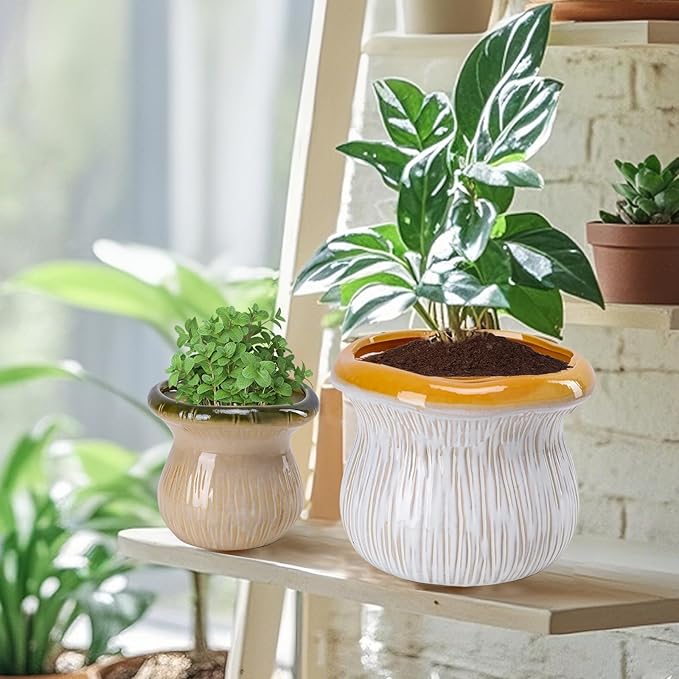 2 Pack Plant Pot Flower Pots Ceramic Planter with Drainage Hole Small Ceramic Pots for Indoor Outdoor Plants Succulent Pot