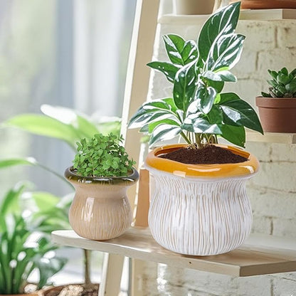 2 Pack Plant Pot Flower Pots Ceramic Planter with Drainage Hole Small Ceramic Pots for Indoor Outdoor Plants Succulent Pot