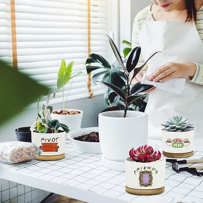 3 Pcs Friends tv Show Cute Merchandise Ceramic Plant Pots,Funny Friends Decor Themed Gifts for Women,for House Plants Garden Planters Succulent Pots(Not Included Plants)