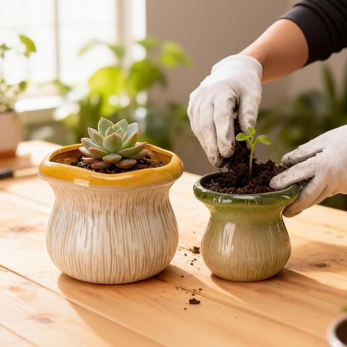 2 Pack Plant Pot Flower Pots Ceramic Planter with Drainage Hole Small Ceramic Pots for Indoor Outdoor Plants Succulent Pot