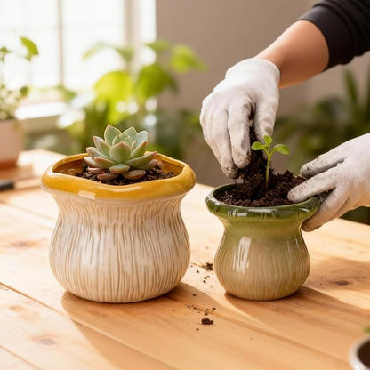 2 Pack Plant Pot Flower Pots Ceramic Planter with Drainage Hole Small Ceramic Pots for Indoor Outdoor Plants Succulent Pot