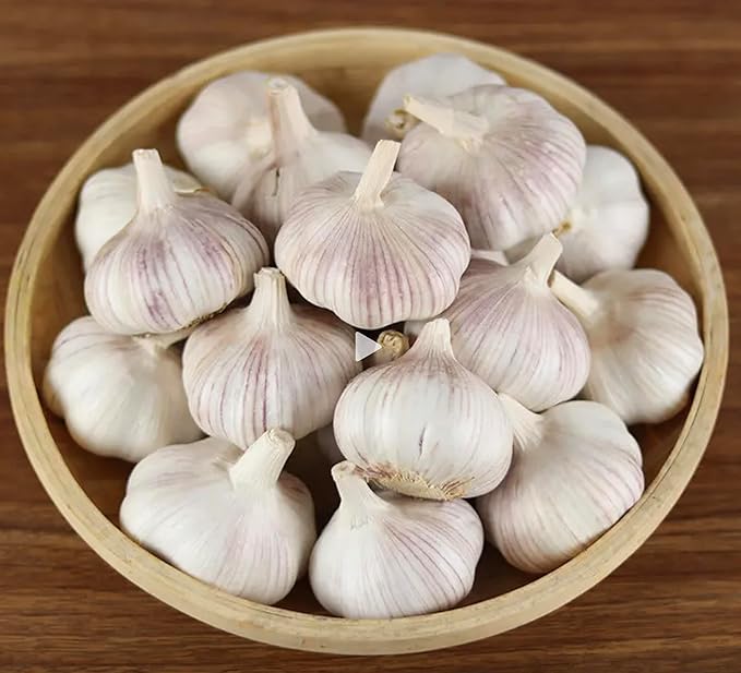 Garlic Seed Bulbs, Large Cloves, Cold Hardy, Bold Flavor (10)