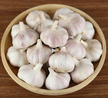 Garlic Seed Bulbs, Large Cloves, Cold Hardy, Bold Flavor (50)
