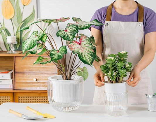 Melphoe Self Watering Pots for Indoor Plants Planter, 8.3/5.3 Inch 2 Pack Planters Self Watering Plant Pots for Flower, Houseplants, Succulent, African Violets and Cactus with Drainage