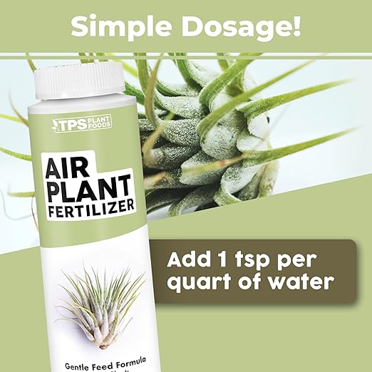 Air Plant Fertilizer - Gentle Soak or Spray Feeding, Concentrated Plant Food for All Tillandsia, Makes 50 Quarts (8 oz)