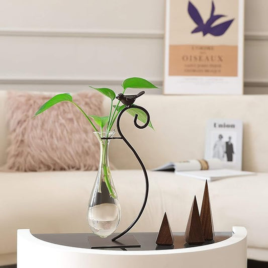Marbrasse Desktop Glass Planter Hydroponics Vase,Planter Bulb Vase with Holder for Home Decoration,Modern Creative Bird Plant Terrarium Stand, Scindapsus Container (Water Drop Vase)