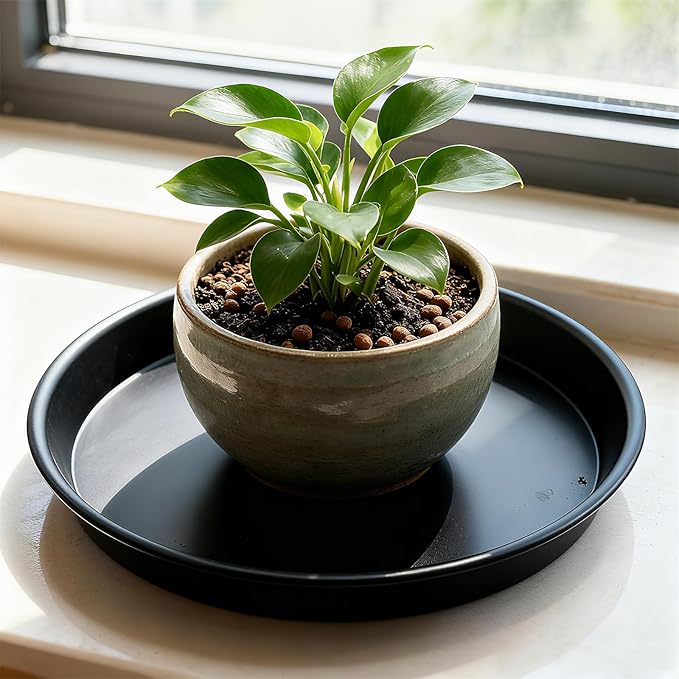 TITE 3 Pack Plant Saucer Heavy Duty Sturdy Drip Trays for Indoor and Outdoor (12 Inch, Black)