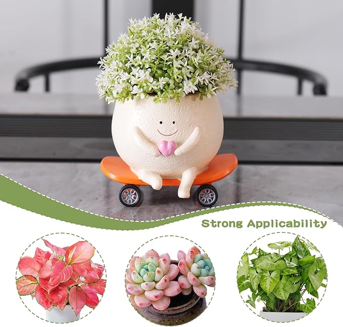 Funny Smily Face Planter Pot with Drainage Hole for Indoor and Outdoor Unique Resin Rolling Skate-Shaped Succulent Flower Pots Novelty Gift for Valentine's Day, Home Decors