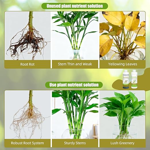 250ml Hydroponic Plant Food Nutrients, Indoor Herb Hydroponics Growing System General Plant Food A and B Fit for Vegetables, Fruits, Flowers。