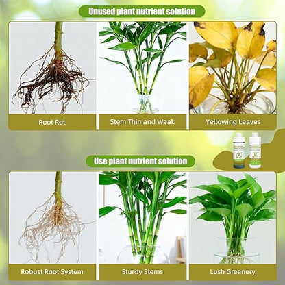 250ml Hydroponic Plant Food Nutrients, Indoor Herb Hydroponics Growing System General Plant Food A and B Fit for Vegetables, Fruits, Flowers。