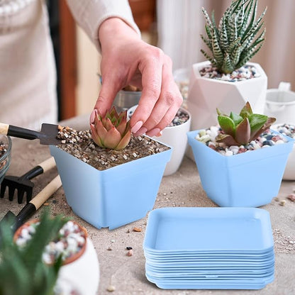 Amyhill 4 Inch Flower Pots Square Plants Nursery Pot Plastic Plant Seedling Pots Nursery Transplanting Planter Container with Saucer for Indoor Herbs Succulent Balcony Garden(Blue,100 Pcs)