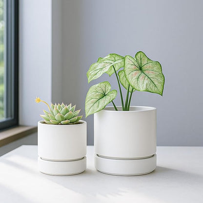 Phoenix Vine 4 Inch and 6 Inch Planter Pot with Drainage Hole & Deep Water Catch Tray Saucer, Straight Cylindrical Round Pot for Plants, Matte White, 23-A-1-Z