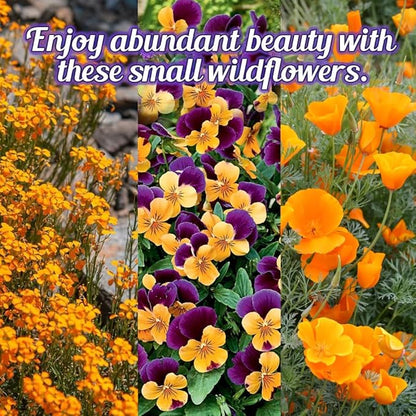 Low Growing Wildflower Seeds Mix - 1oz, 6-12 Inches Short Flowers – Non-GMO Natural Mix of Annual & Perennial Garden Seeds with High Germination Rate
