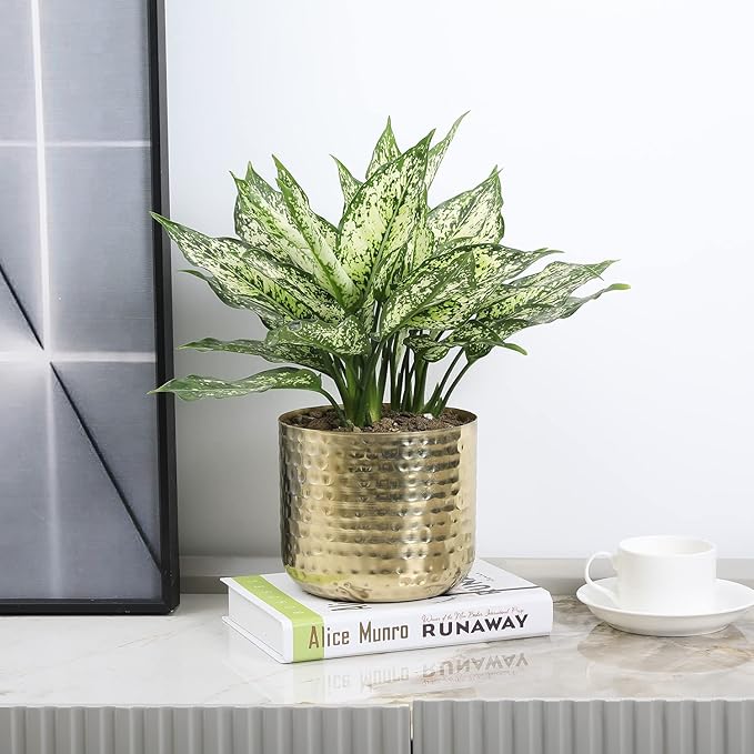 MyGift 6-Inch Shiny Brass Tone Metal Plant Pot with Hammered Texture, Cylindrical Indoor Succulent Planter - Handcrafted in India