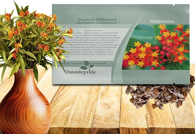 Outsidepride Tropical Milkweed Seeds - 1000 Pcs Perennial, Heat & Humid Tolerant, Pollinator-Friendly Wildflower Seeds, Ideal for Monarch Butterflies, Cut Flowers, Borders, or Meadows