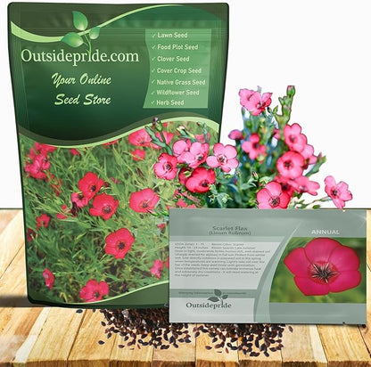 Outsidepride Scarlet Flax Seeds - 1/4 lb Annual Flower Seeds for Planting, Self-Seeding, Drought-Tolerant w/Compact Growth, for Small Gardens, Meadows, Borders, or Mass Plantings