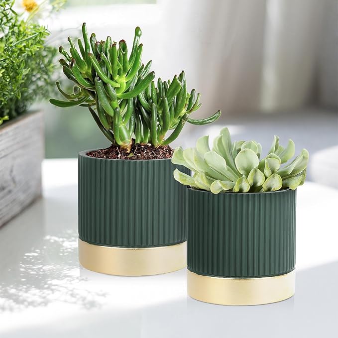 Set of 3 Cement Planter Pots with Drainage Hole,4 inch Plant Pots for Plants Indoor Houseplants,Succulent Pots Windowsil Planter (Green&Gold)
