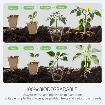 10-Pack Seed Starter Trays – Peat Pots for Seedlings, 120 Biodegradable Seed Starter Pots, Seed Starting Kit with 120 Plant Labels (Large)
