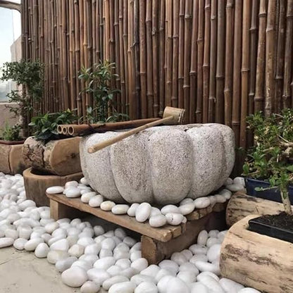10 lbs White River Rocks, 1-2 Inch Polished Pebbles for Indoor Plants, Decorative White Stones for Plants, Vase, Aquarium, Fish Tank, Landscaping and Garden
