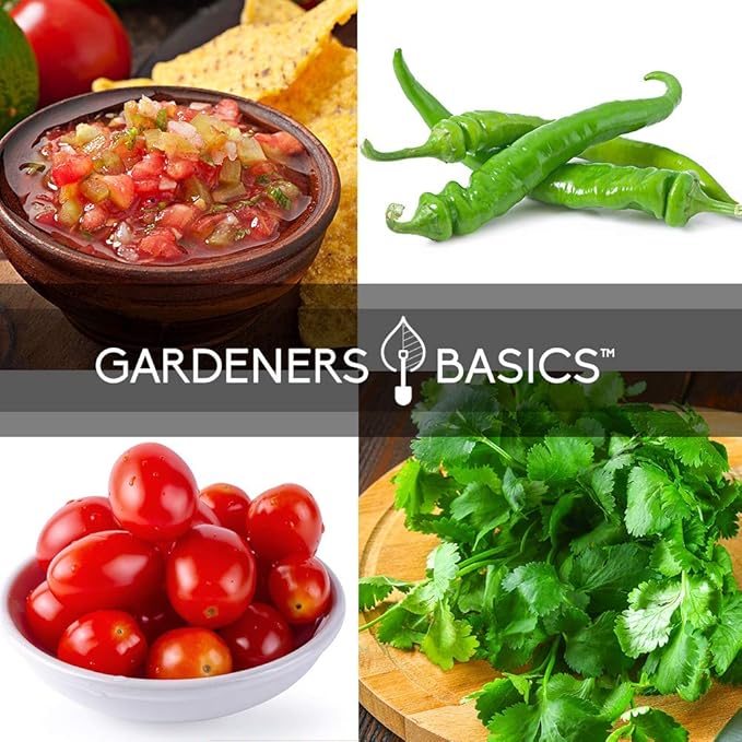 Gardeners Basics, Heirloom Salsa Growing Seed Packets, Roma VF Tomato, Jalapeno, Cilantro, Anaheim and Onion Seeds for Garden Non GMO 5 Free Plant Markers