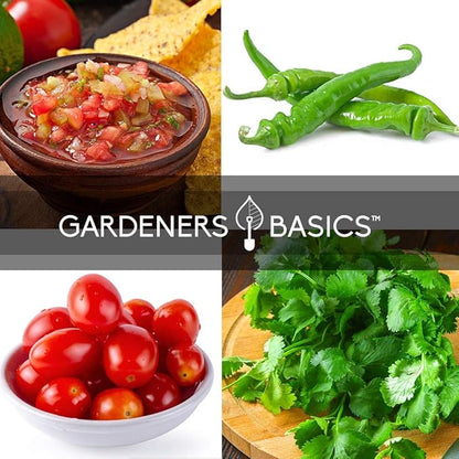 Gardeners Basics, Heirloom Salsa Growing Seed Packets, Roma VF Tomato, Jalapeno, Cilantro, Anaheim and Onion Seeds for Garden Non GMO 5 Free Plant Markers