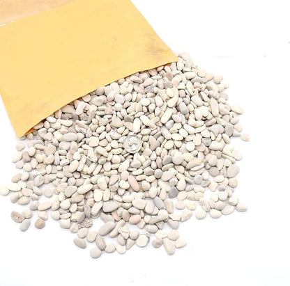 Rocks - Cream White Decorative Pebbles, 3/8 Inch - 10 lbs. Landscaping and Garden Stones, Suitable for Succulents and Pots