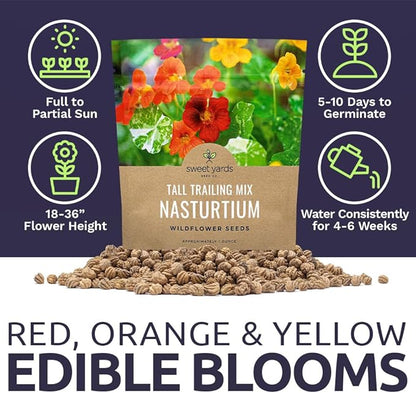 Nasturtium Seeds – Mixed Colors – Extra Large Packet – Over 200 Open Pollinated Non-GMO Flower Seeds – Tropaeolum majus