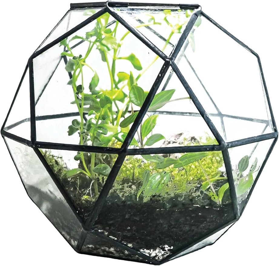 KraftStories Clear Glass Terrarium with Door | Sphere Design Container | Ideal Planter for Moss and Indoor Plants | Maintains Humidity | Self-Sustaining Indoor Garden Ecosystem (Only Terrarium)
