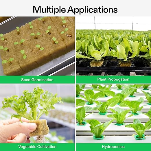 VIVOSUN 1" Rockwool Cubes, 200 Plugs Stonewool Starter Grow Cubes for Cuttings, Cloning, Plant Propagation, Seed Starting, Hydroponic Grow Media for Vigorous Plant Growth