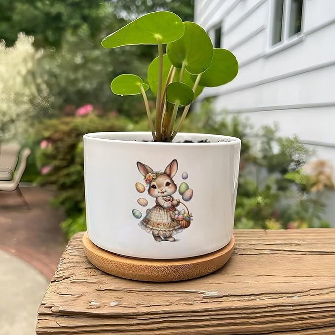 DreamAutumn Easter Bunny Ceramic Planters Ceramic Pots with Saucers Orchid Pots for Plants Succulents Pots Office Desk Garden Balconys New Home Decor,Gifts for Mom Mother Grandmother