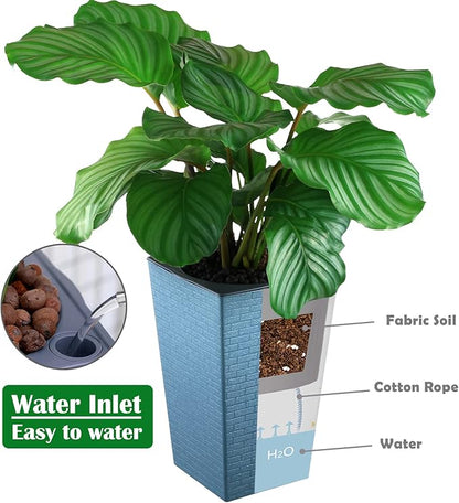 2 Pack Self Watering Planters 10.7" x 6.9" Planter for Indoor Plants Self Watering Violet Pots Plastic Flower Pots Square Planter with a Bag of Clay Pebbles, Blue