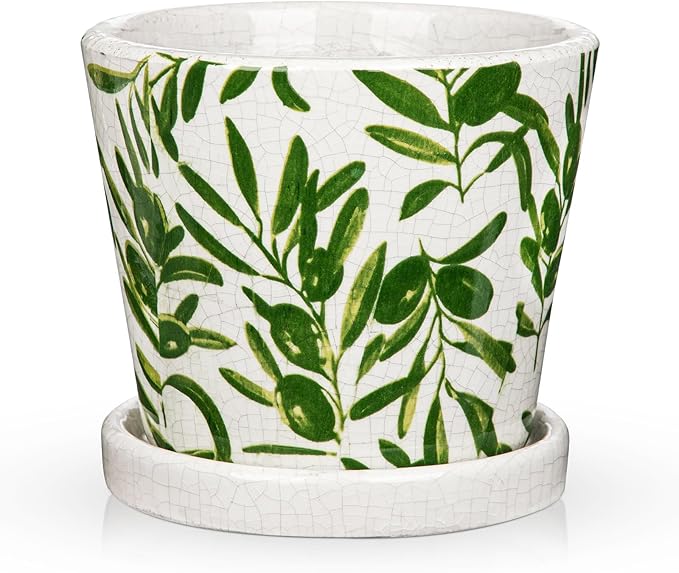 Oairse Small Ceramic Pot for Indoor Plants - 5.5 inch Plant Pot with Drainage Hole and Saucer Olive Leaves Decorative Planter Indoor Outdoor Flower Pots for Succulent Snake Pothos Plant Cactus Orchid