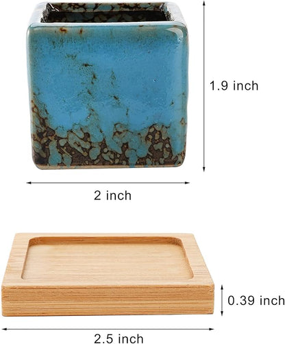 TOPZEA Set of 10 Succulent Planter Pots, 2 Inch Square Ceramic Glazed Cactus Plant Pot Tiny Flower Container with Drainage Hole & Bamboo Tray for Desk, Windowsill, Home Decor, Coffee Bar