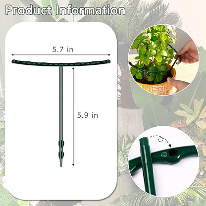Mwellewm 10 Pack Plant Support Plant Stakes Metal Half Round Search Support Ring Small Plastic Cage Holder Short Stem Flower Pot Climbing Trellis for House Flower Vegetable Indoor Leafy(5.7 x 5.9nch)