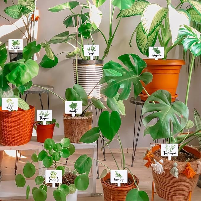 arricraft 15 Pcs Acrylic Plant Label Signs, Herbal Themed Waterproof Garden Stake Labels T-Shaped Plant Marker with Herbal Names for Indoor Outdoor Potted Plants Nursery Marker Decoration