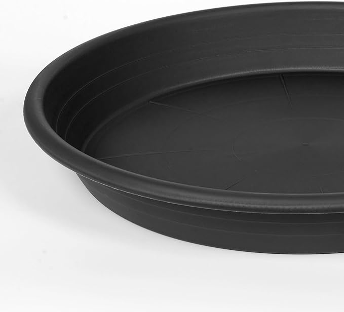 6 Pack Plant Saucer 10 inch, Heavy Duty Plastic Plant Saucers 10 inch, Durable Plant Tray for Pots, Flower Saucers for Indoors, Plant Pot Saucers, Trays for Planter 8"/9"/10" (Black)