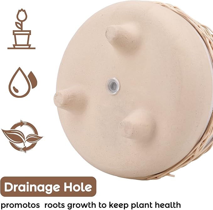 Ceramic Planter 8 Inch Plant Pots Indoor Outdoor Planter with Drainage Hole Flower Pots Plant Pot Ceramic Mid-Century