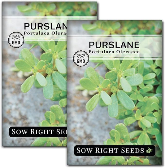 Sow Right Seeds - Purslane Seeds for Planting - Non-GMO Heirloom Packet with Instructions to Grow an Outdoor or Indoor Vegetable Garden - Rare Edible & Culinary Variety - Medicinal Benefits & Uses (2)