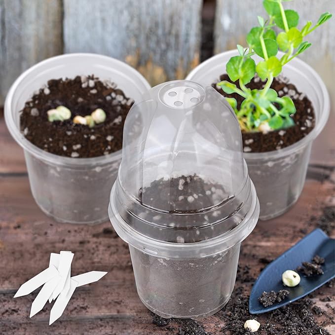 36 Packs 4 Inch Plant Nursery Pots with Humidity Dome Plastic Planters Gardening Flower Plant Pots Seed Starting Pots with Plant Labels for Seedling Indoor Outdoor Garden, Transparent