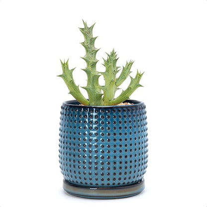 D'vine Dev 4 Inch Ceramic Beaded Stoneware Planter Pot - Flower Pot with Drainage Holes and Saucers for Indoor Succulent Plants or Flowers, Ocean Teal, 27-C-Z-8